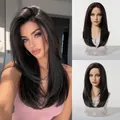 13x6 HD lace front wig in dark brown color, long straight layered style for women - Black (20 Inch)