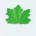 Green maple leaf shaped decorative sticky notes for messages 25 sheets 9x7.2cm - Maple Leaf (02) / 25 Pieces/Pack / Green