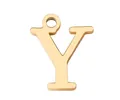 Pendente a lettera Y in acciaio inossidabile placcato oro lucido per creazione di gioielli DIY. - Lettera Y / Argento