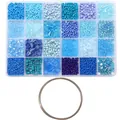 Top-down view of 24-grid blue glass seed beads kit with silver jewelry wire - Blue Series (with Steel Loop)