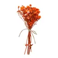 Piccolo bouquet decorativo di fiori secchi arancioni legato con corda di juta rustica - Mini bouquet / 1 Pezzo/Confezione / Arancione