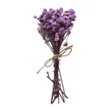 Mini bouquet di fiori secchi viola legato con fiocco di spago rustico per decorazioni DIY - Mini bouquet / 1 Pezzo/Confezione / Viola chiaro