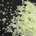 Iridescent AB color crushed glass shards granules for DIY jewelry and nail art decoration - Yellow & Green