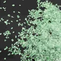 Irregular AB aurora green crushed glass stones for DIY crafts and nail art decor - Light Green