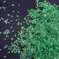 Irregular green AB iridescent glass crushed stones for DIY jewelry and nail art filler - Grass Green