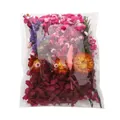Kit fai-da-te mini fiori secchi assortiti in confezione trasparente per decorazioni - Kit materiale fai-da-te / Confezione da 17,5g / Rosso rosa