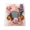 Confezione di mini bouquet di fiori secchi assortiti in sacchetto trasparente per fai da te - Kit materiale fai-da-te / Confezione da 17,5g / Rosa chiaro