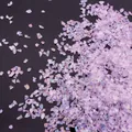 Irregular purple AB iridescent crushed glass stones used for DIY crafts and nail art material. - Pink Purple