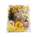 Set di mini fiori secchi assortiti per decorazioni di biglietti e regali fai-da-te - Kit materiale fai-da-te / 17,5g/Confezione / Gamma gialla
