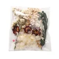 Mini bouquet di fiori secchi fai-da-te per decorazione di biglietti e accessori per regali - Kit materiale fai-da-te / 17,5g/Confezione / Serie Beige