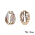Premium acrylic imitation shell pendant 13x19mm for DIY jewelry and accessory making - Style 1 (BSD804) / 2 Pcs/Set
