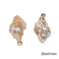 Acrylic sea snail shell charms with gold plating for DIY jewelry making, 20x41mm - Style 8 (BSD804)
