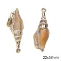 Acrylic shell-shaped pendant for DIY jewelry making with natural texture 22x58mm - Style 13 (BSD804)