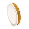 Golden steel wire spool for DIY jewelry making beading necklace and bracelet crafting. - 0.3mm (Approx. 20m/Roll) / Gold