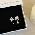 Close-up of elegant silver firework star earrings with sparkling zircons in a gift box. - Style 31 Earrings