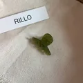 Primer plano de una mini pinza para el pelo en acetato verde con detalles hechos a mano. - Pinza de Pelo Pequeña / Verde