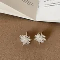Detailed macro shot of elegant silver firework-shaped stud earrings with small crystals. - Style 1 Snowflake Earring