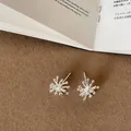 Detailed macro view of silver firework-shaped stud earrings on a brown surface - Style 7 Earrings