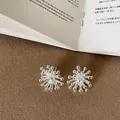 Detailed close-up view of silver firework stud earrings with a sparkling center crystal - Style 13 Earrings