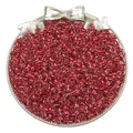 Red silver-lined glass seed beads for DIY jewelry making in a silver plate - Silver Bright Red