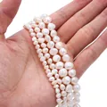 Natural high-luster freshwater pearls in various sizes for DIY jewelry making - 10 Pieces/Pack (4-5mm) / White