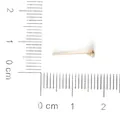 DIY gold-plated earring stud pins with measurement scale ruler - Cup Shaped Style (FRB028) / 4*14MM (400 Pieces/Pack) / KC Gold