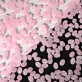 Perle in vetro a petalo di tulipano rosa traslucido per la creazione di gioielli fai-da-te - 50 Pezzi/Confezione / Giada Rosa