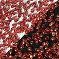 Perles de pétales de tulipe émaillés rouges avec finition dorée pour bijoux DIY - 50 Pcs/Paquet / Rouge Sirène