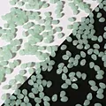 Perles en verre en forme de pétale de tulipe vert clair pour bijoux faits main DIY - 50 Pcs/Paquet / Vert Jade Clair