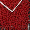 Red textured round ABS imitation pearl beads with holes for DIY jewelry making crafts - 100 Pieces/Pack (10mm) / Red