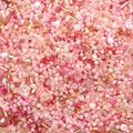 450g mixed pink glass seed beads with frosted and transparent finishes for DIY jewelry - Code 59 / 20g/Pack / Pink Tones