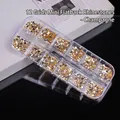 Professional 12-grid set of champagne resin flatback nail rhinestones in mixed shapes - 12-Compartment Pack / Champagne