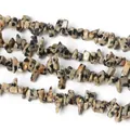 Natürliche 3-5mm Dalmatiner-Jaspis-Steine für DIY-Schmuckherstellung und Zubehör - 3-5mm Durchmesser / Dalmatinerjaspis / 80cm Strang