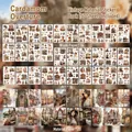 Vintage aesthetic journaling sticker book featuring 50 sheets of washi and PET material - Cardamom Overture