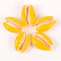 Dettaglio di conchiglie di ciprea smaltate gialle per accessori di gioielli fai da te - Curcuma