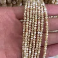 Cuentas de concha redondas naturales de 2mm 3mm para joyería mostradas en mano para escala - Estilo Trochus / Paquete de 3mm / Color Natural de Trochus