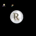 Natural white mother-of-pearl round bead with elegant gold letter R for DIY jewelry crafting - Letter R (s2256) / 10 Pieces 8x5mm