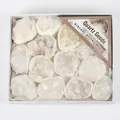 Vue rapprochée de grappes de géodes de quartz blanc naturel dans une boîte cadeau blanche - Coffret Cadeau Géode Agate Naturelle (GN609) / Lot de 12 / Naturel