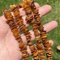 Close-up detail of irregular brown shell beads for DIY jewelry crafting - Single String / Brown