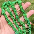 Close-up detail of vibrant green crushed shell beads 7-14mm for DIY jewelry making - Single String / Green