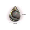 Natural seawater abalone shell teardrop bead SKU, 14x10mm dimensions for DIY jewelry - 5 Pieces/Pack / 10x14mm Waterdrop Abalone Shell