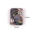 Perla rettangolare in conchiglia di abalone naturale 16x12mm per gioielli fai da te - 5 Pezzi/Confezione / 12x16mm Rettangolare Conchiglia di Abalone
