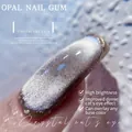 Premium zilveren kristallen kattenoog magnetische nagellak met sprankelend effect - Stroboscoopmodus / Kristallen Kattenoog Gel
