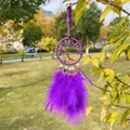 Dettaglio di un acchiappasogni Albero della Vita viola con piume, appeso in un parco. - Ametista