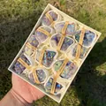 Coffret de 12 spécimens naturels de grappes de cristaux d'améthyste irisés haut de gamme - Coffret d'Amas d'Améthyste Électroplaqué