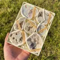 Coffret cadeau de cristaux de quartz géode avec sept spécimens d'aura arc-en-ciel - Coffret de Paires de Géodes d'Agate Électroplaquées AB (Grand)