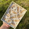 Coffret cadeau de spécimens de géodes de quartz irisé naturel avec étiquettes de qualité - Coffret de Paires de Géodes d'Agate Électroplaquées AB (Petit)