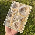 Spécimens de cristal de quartz géode blanc naturel dans un coffret cadeau de six pièces - Coffret de Géodes d'Agate Couleur Naturelle (Grand)