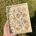 Spécimens de quartz géode d'agate naturelle dans un coffret cadeau haut de gamme - Coffret de Géodes d'Agate Couleur Naturelle (Petit)