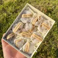 Spécimens de cristaux de quartz géode naturels présentés dans un coffret cadeau - Coffret d'Agate Fendue Naturellement